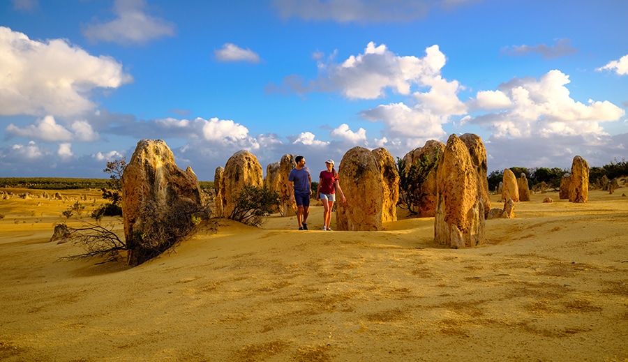 無数の奇岩が大地に並び立つピナクルズ砂漠。Photo：Tourism Western Australia