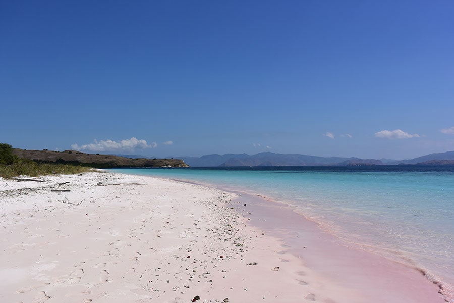 パダール島のピンクビーチ。コモド島にもピンクビーチはあります。