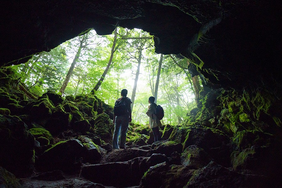 樹海に数ある溶岩洞穴のなかでも、とりわけ神秘的な雰囲気の「竜宮洞穴」。