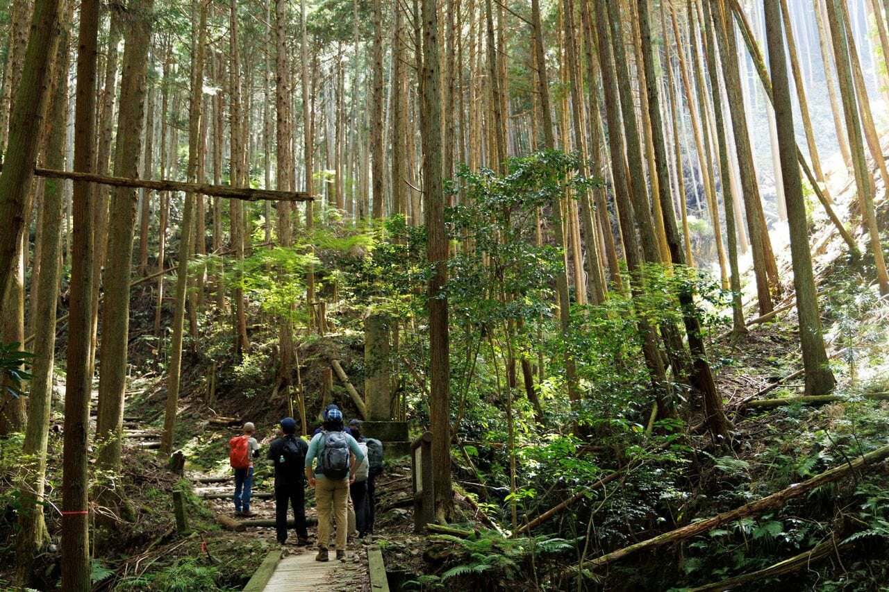 敵兵の攻撃を抑えるため、道が曲がりくねっている。