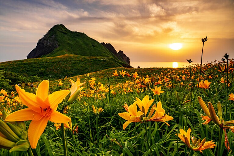 【新潟県】大野亀。