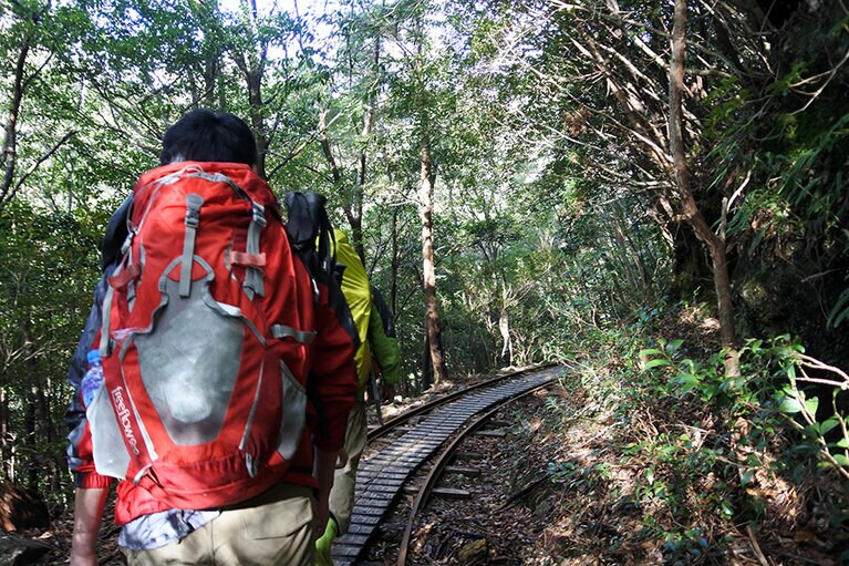 今も年に数回、トロッコが走るトロッコ道。