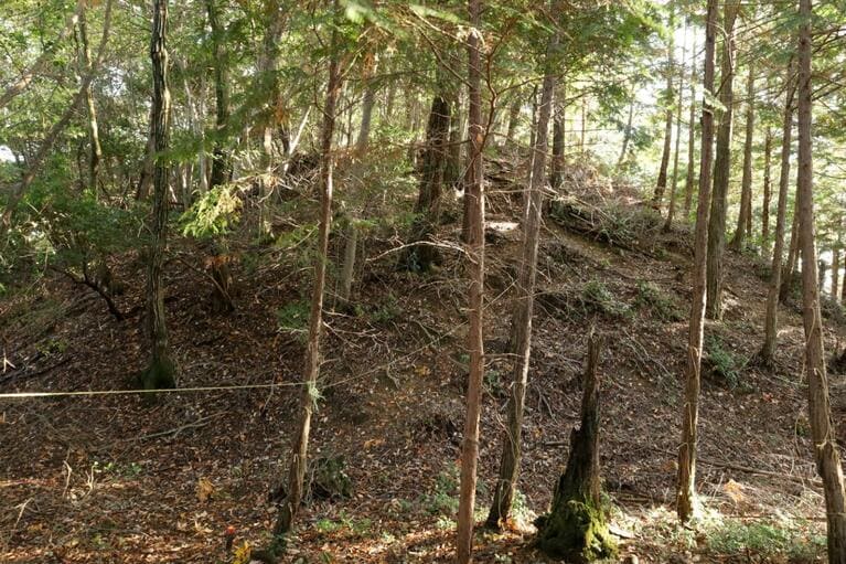 切岸直下にうっすらと堀切もみられる