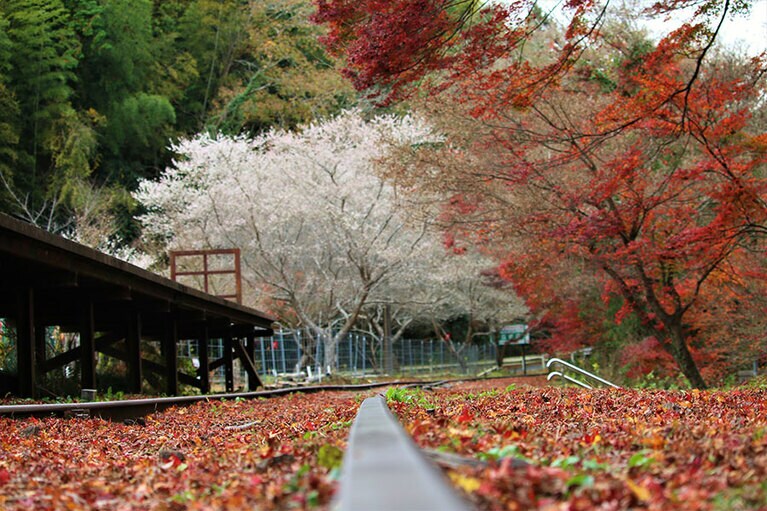 名鉄三河線廃線路。