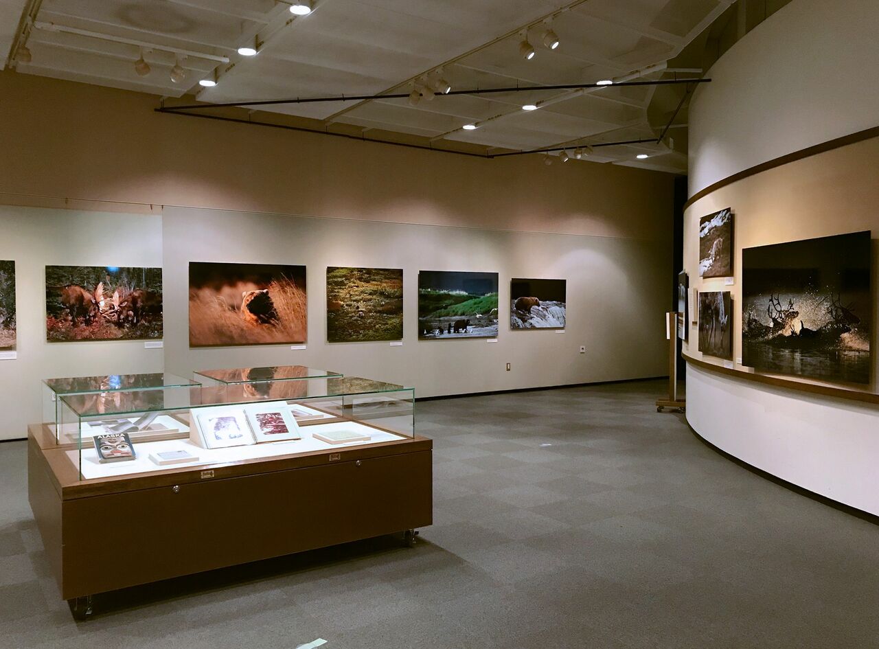 写真展は小さな子どもから若者、年配の方まで、幅広い年齢層の方が多く来場する。 写真提供・星野道夫事務所