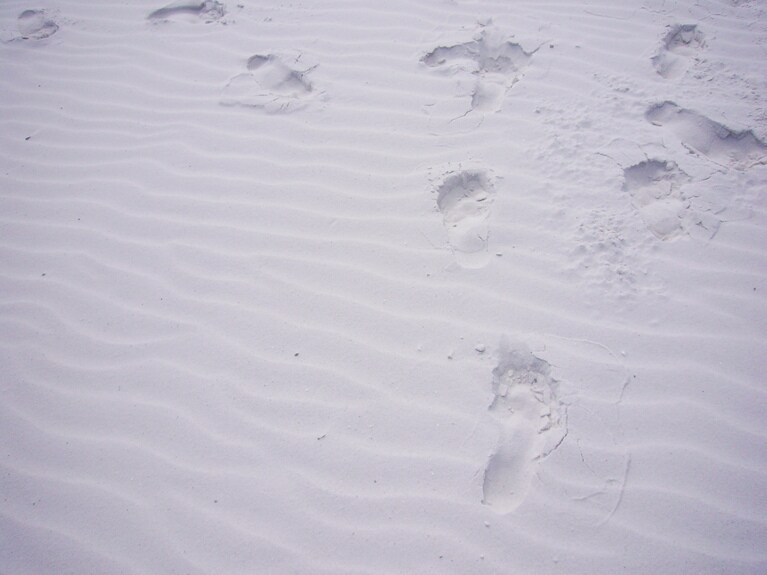 まっさらなシリカサンドに足跡を付ける喜びも！