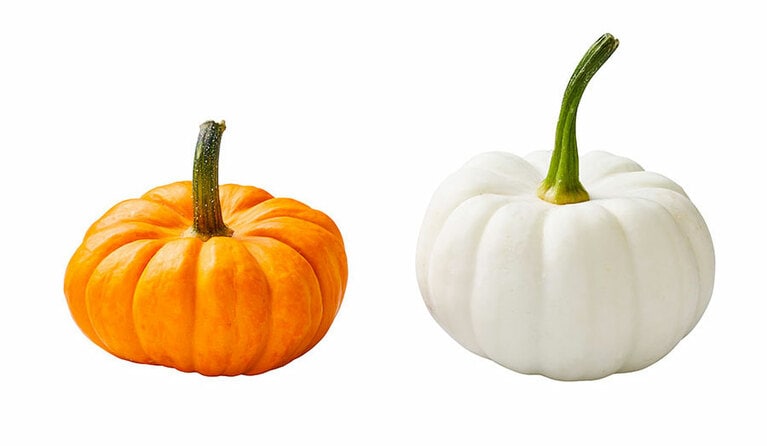 デコレーション用パンプキン200円(IKEA Family価格160円)。