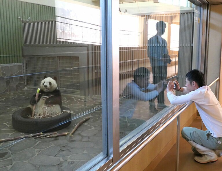 タンタンを観察する梅元さん。