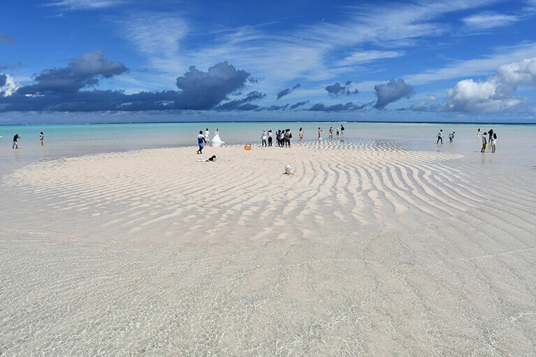 本来ならば、こんな情景を見られるはずでした。©ヨロン島観光協会