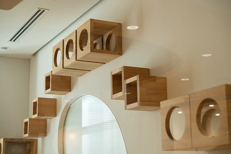 猫が大好きなキャットウォーク。