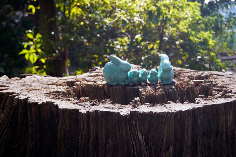 近くには伊豆山神社が。