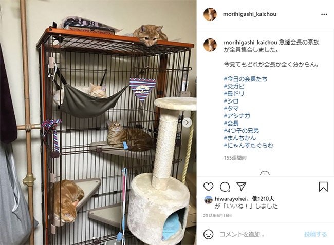 会長のインスタグラム(https://www.instagram.com/p/BkFp11HHvxB/)より。