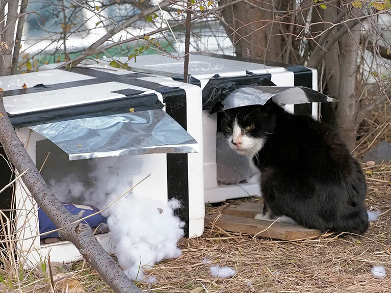 「……チビにゃんども……やらかしたみたいだニャ……」