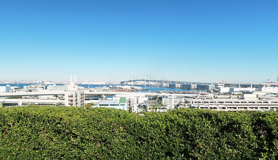 横浜ベイブリッジが望める「港の見える丘公園」からの眺め。