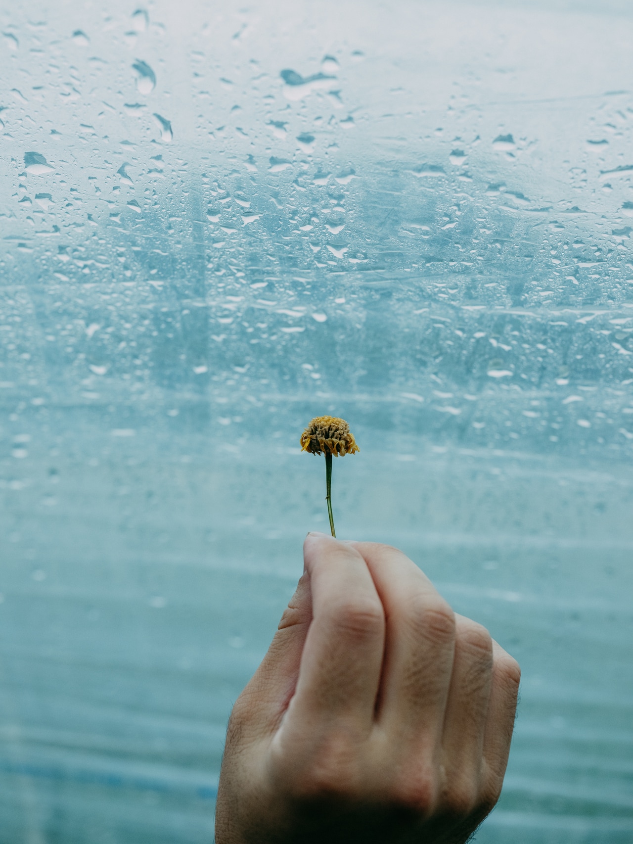 Table to Farmでは11月23日に日本のお米の「素の味」の食べ比べができるイベントを開催する。