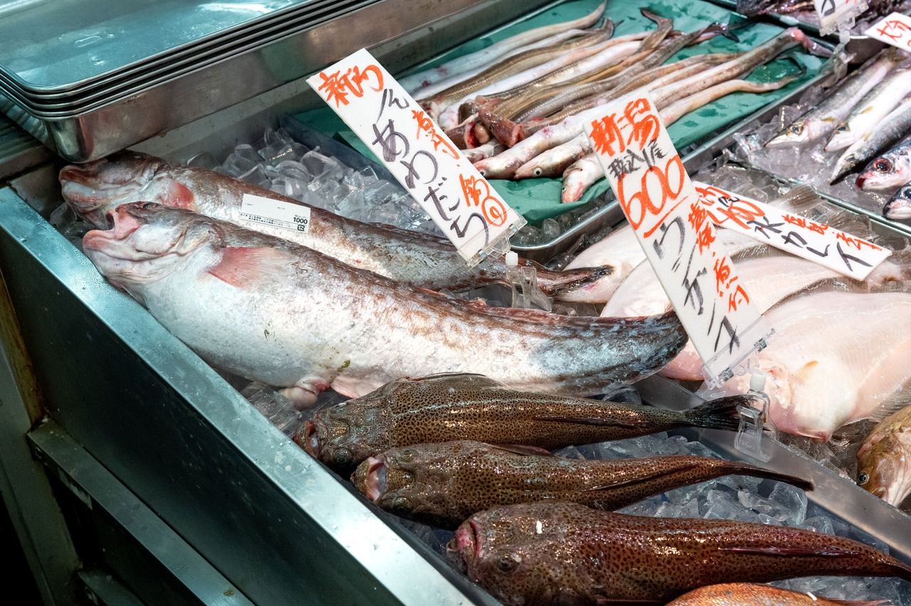 「あわだち」「ウシガンコ」「じょんじょろ」などマニアックな魚も！