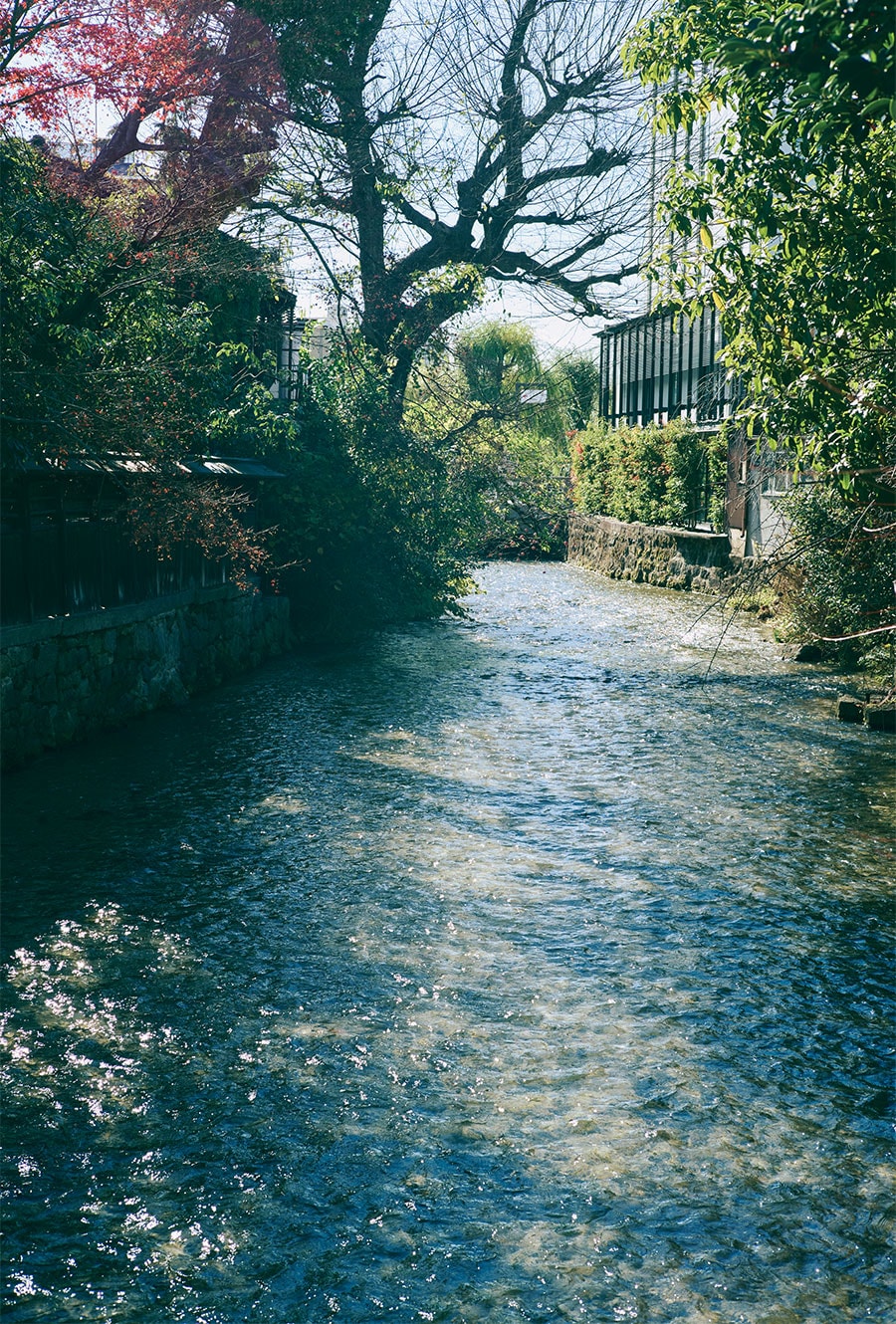 11:00＠東山駅近くの白川。