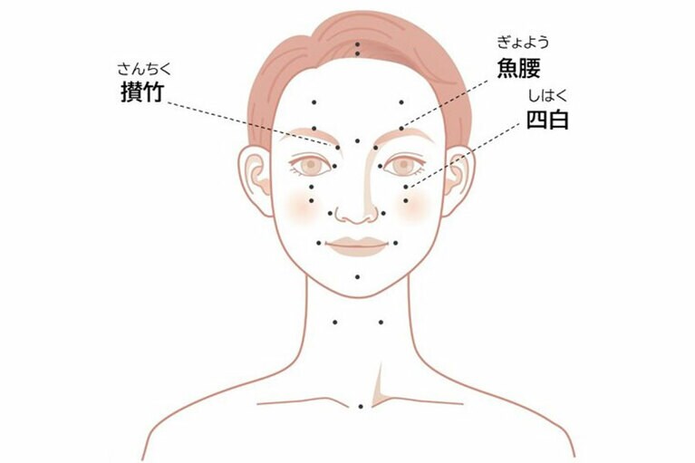 (1) 攅竹(さんちく)～左右の眉頭のくぼんだ部分。 (2) 魚腰(ぎょよう)～左右の眉の上部分。眉の真ん中、黒目の上辺り。 (3) 四白～黒目の下の、骨の上の辺り。