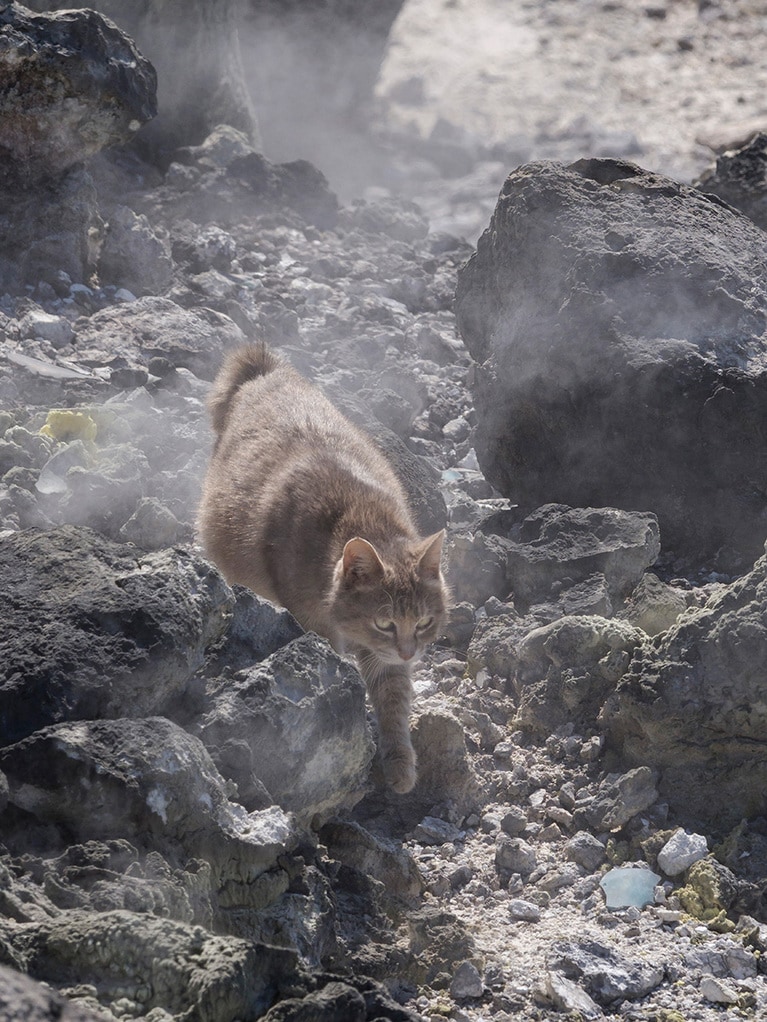 vol.059「『地獄めぐり』なのニャ～♪『地獄』というより『極楽』だけどニャ」