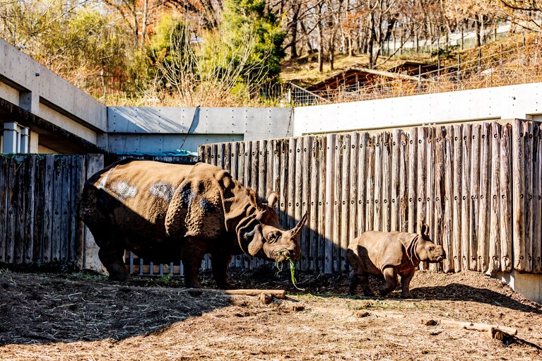 食事をはじめる親子。