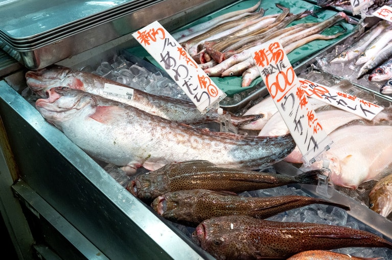 「あわだち」「ウシガンコ」「じょんじょろ」などマニアックな魚も！