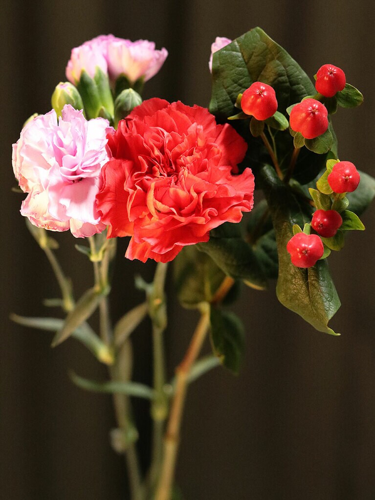 2回目も謎の季節花。せっかくなら花の種類も覚えたいなと思い始めました。