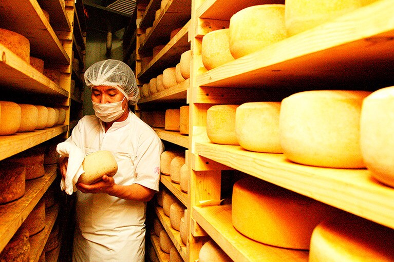 「ニセコチーズ工房」(北海道)は、小さな工房。