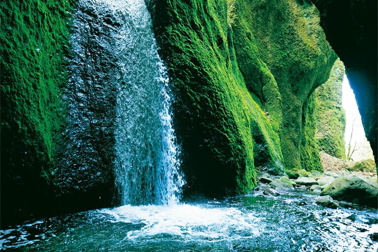 【兵庫県】シワガラの滝。
