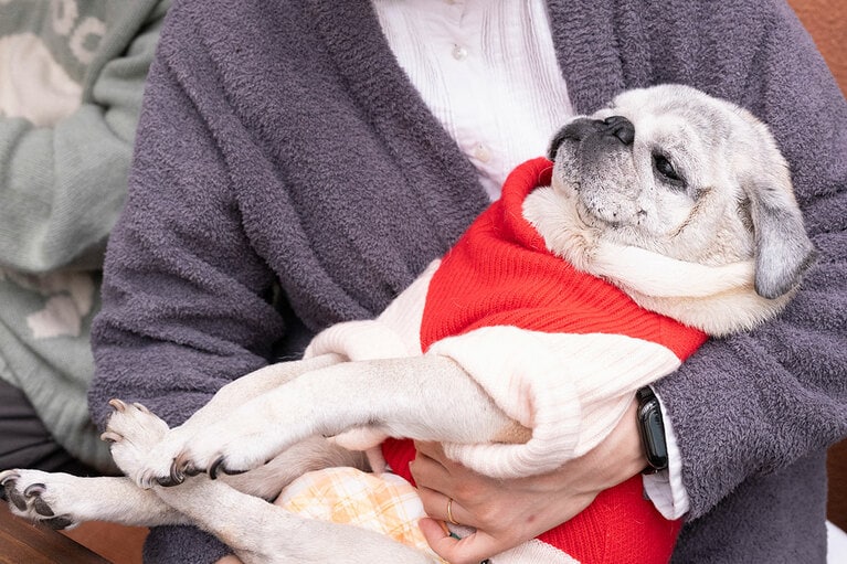 アザーカット。