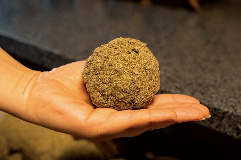 お灸は手のひら大。