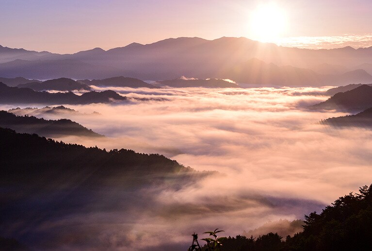 【奈良県】野迫川村の雲海。