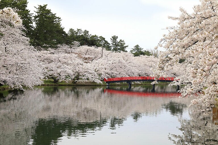 弘前公園西濠春陽橋。