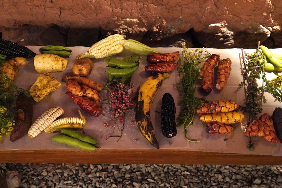 穀物、地茎、ナッツ、染料に使う果実など、ペルーは未知の素材の宝庫。©Shifumi Eto