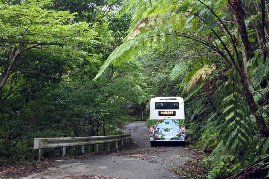 時速20キロ以下で森の生物に影響がないように走行する電気バス。