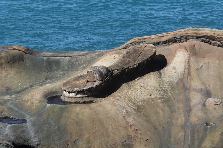 「美女のサンダル岩」。