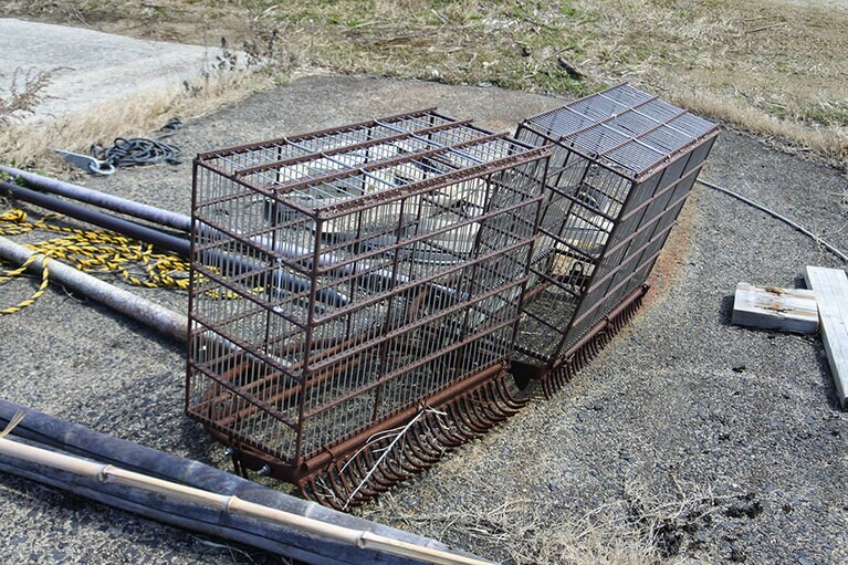 こちらの鋤簾(じょれん)を湖へ下ろして、人力もしくは動力で底掻きします。