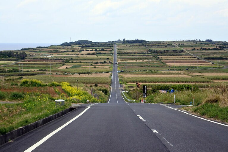喜界島のサトウキビ畑の一本道。まっすぐな道が約2.5キロ続きます。