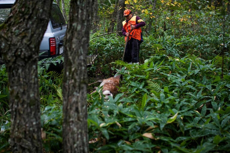 どんな餌を食べて、どんな環境で育ったかがわかる鹿や熊を狩猟。
