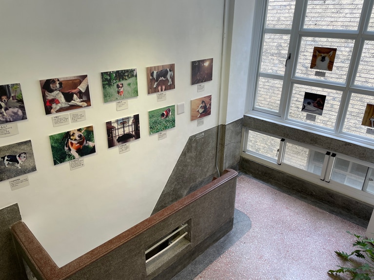 ギャラリーは営業時間内であれば自由に観覧できます。