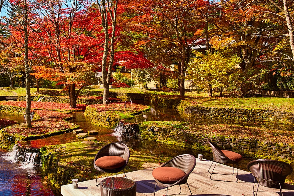 敷地内に広がる棚田と紅葉を見渡せる「棚田テラス」。その中でも、星のや軽井沢の秋の象徴とも称される、赤く色づく楓の木を目の前に眺められる特別席がこの秋のティータイム・プログラムの舞台となる。