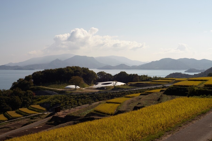 棚田や沖の島々など、周囲の風景と溶け込んだ豊島美術館。©Teshima Art Museum　Photo:Noboru Morikawa