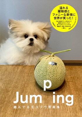 Jumping<br />跳んでるモコゾウ写真集