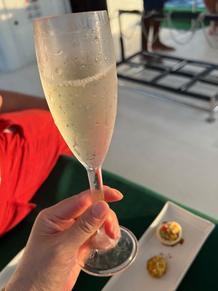 イルカと遊んだ後は、スパークリングワインとオードブルをいただきながらイルカ談議。落としても割れないプラスチック製のグラスだから、船が揺れても安心だ。