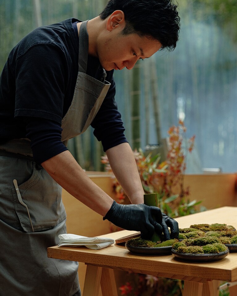 盛りつけ使われる苔を準備。