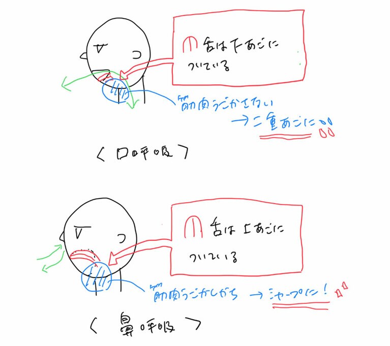 鼻呼吸では、舌近辺の筋肉を動かすためなのか、あご周りがスッキリしてシャープに！