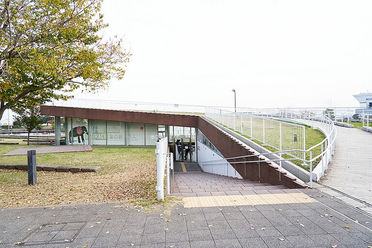 山下臨港線プロムナード側からも出入りできる「象の鼻テラス」。象の鼻パークは、海沿いと町のエリアをつなげる、歩行者の回遊ゾーンの中心にもなっています。