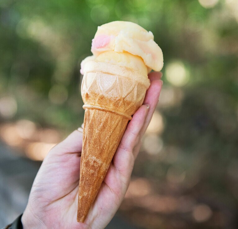 こちらは「鳳梨(パイナップル)」味。 30元。