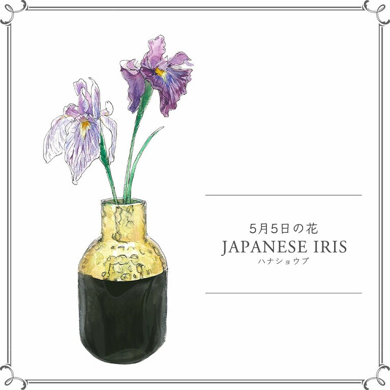 5月5日の花「ハナショウブ」