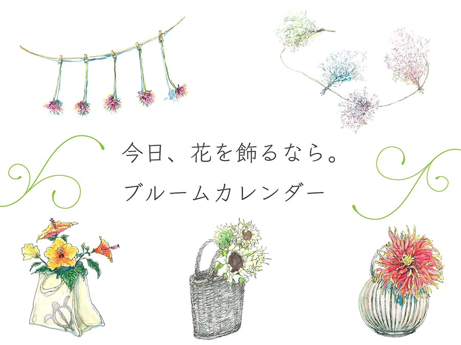 今日 飾りたい花 がわかる 8月の花イラスト31点を一挙公開 今日 花を飾るなら ブルームカレンダー 写真 1枚目