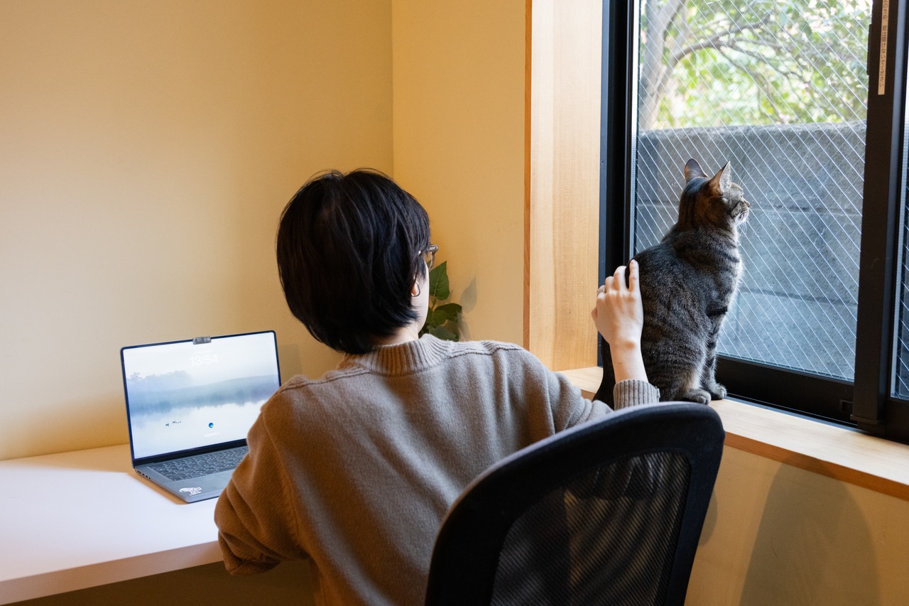 パソコンを開きつつ、結局猫を触ってしまう筆者。